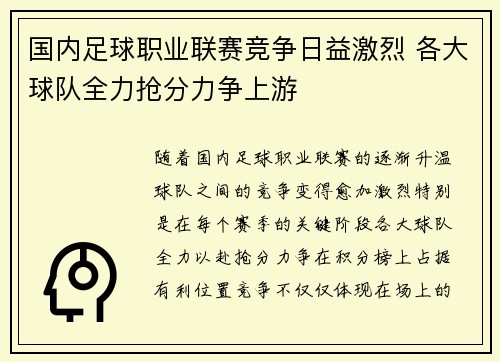 国内足球职业联赛竞争日益激烈 各大球队全力抢分力争上游