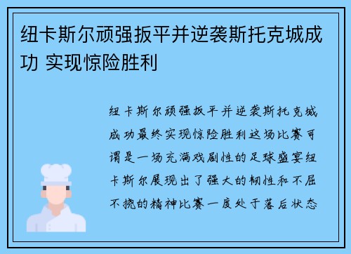 纽卡斯尔顽强扳平并逆袭斯托克城成功 实现惊险胜利